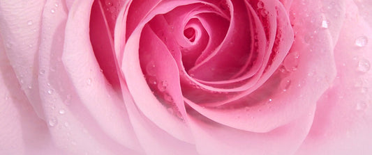 Rose de Rose LIBREDERM: Neurocosmetic Anti-Aging Care