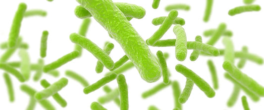 How a Microbiome Disruption Can Cause Acne: An Expert Explains