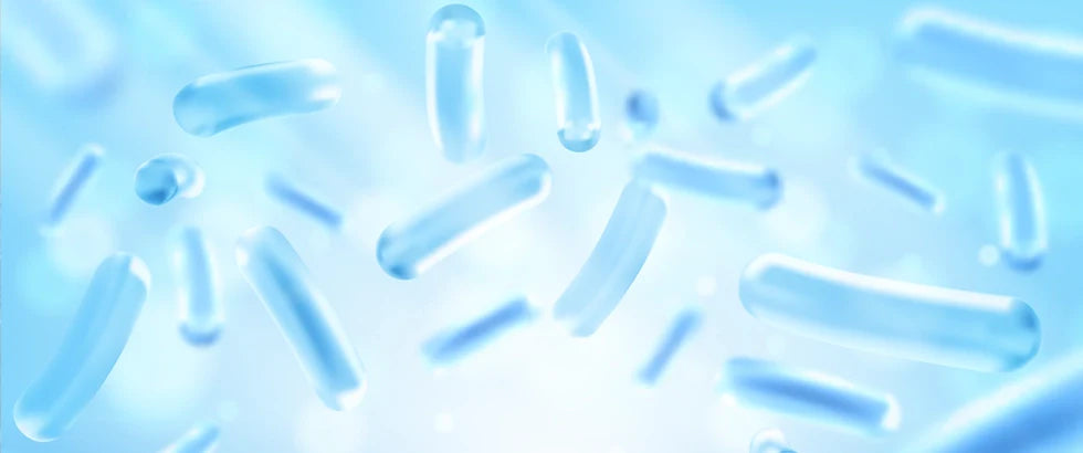 The Microbiome of Dry and Sensitive Skin: Everything You Need to Know